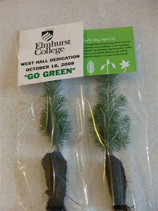 Promotional Giveaway Seedlings